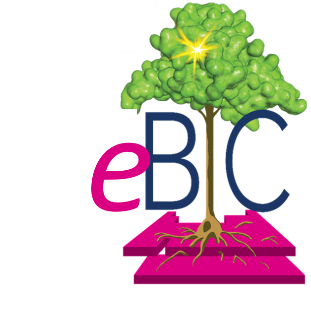 eBIC Logo
